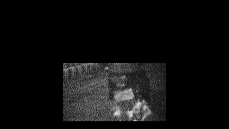 armin abdi, from the east : national #06, 2017, single channel digital video, 14m17s, dimension variable